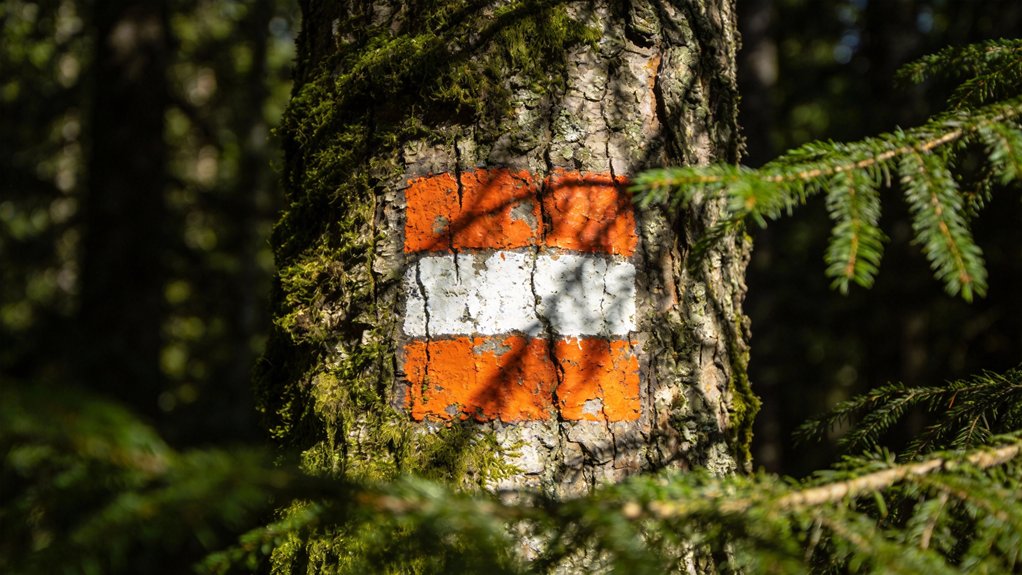 trail markers guide navigation