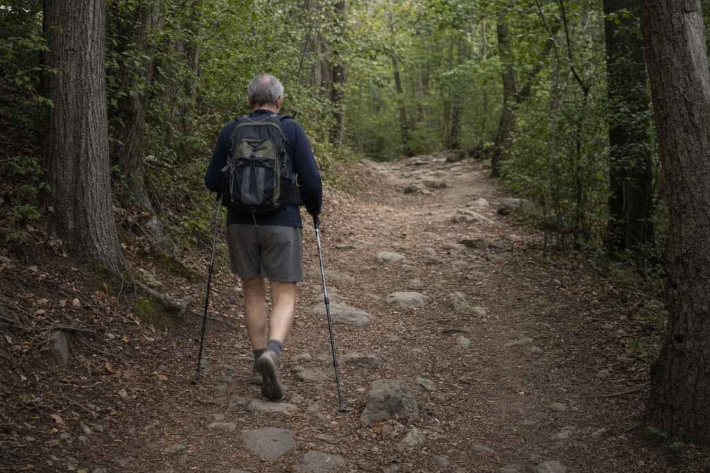 An older hiker with trekking poles walking steadily along a gently uneven woodland trail