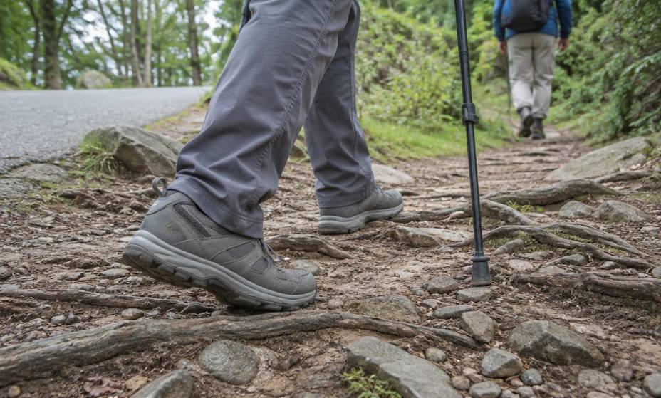 A walker's shoes stepping over tree roots and loose stones on a dirt trail
